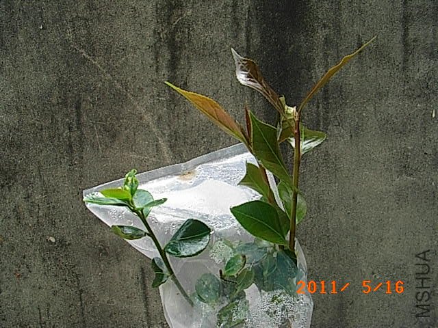R0016648.JPG