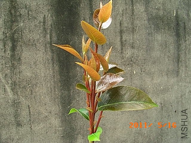 R0016656.JPG