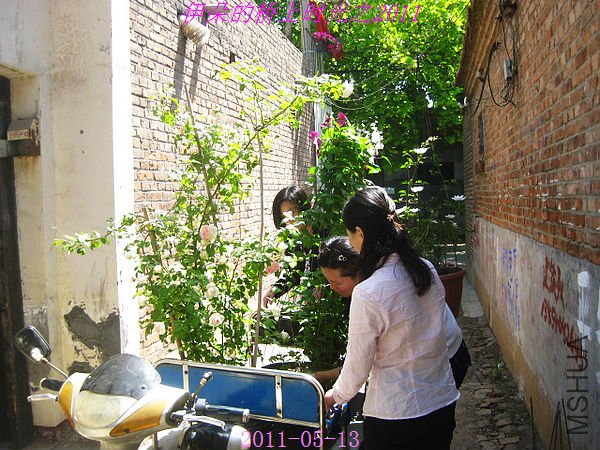 nEO_IMG_��Ƭ 021.jpg