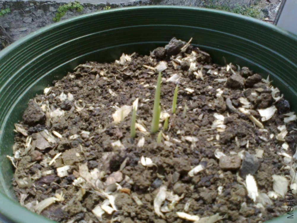 20110428059.jpg