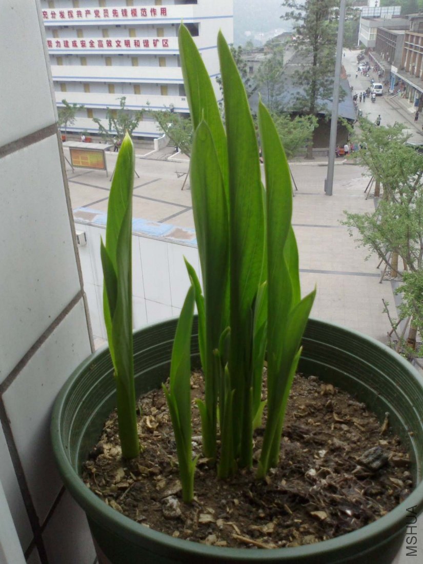 20110510074.jpg