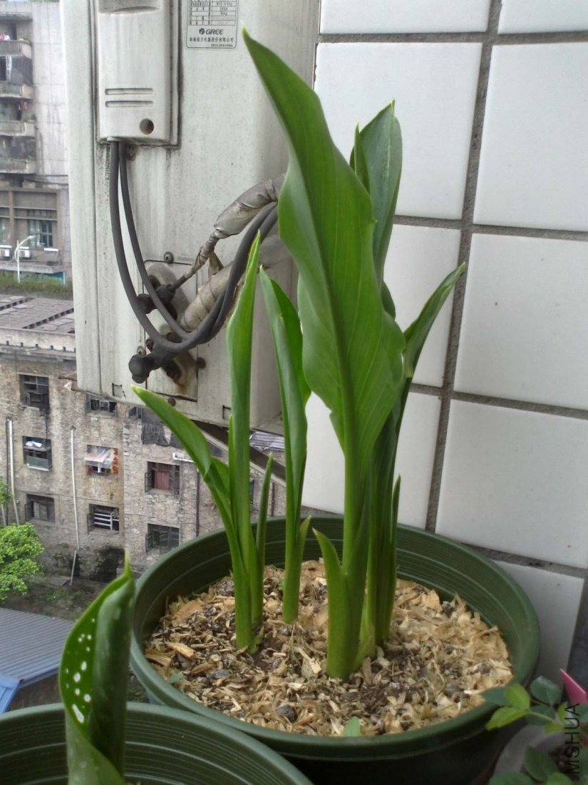 20110511079.jpg