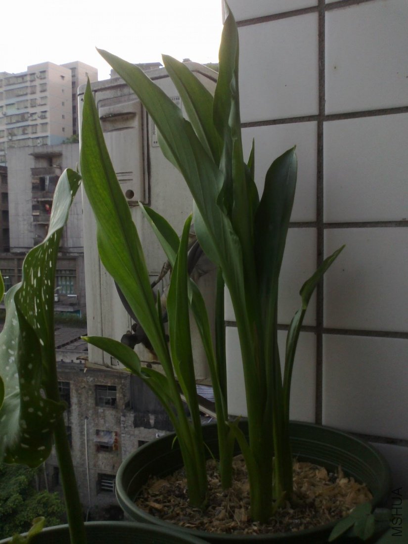 20110516086.jpg