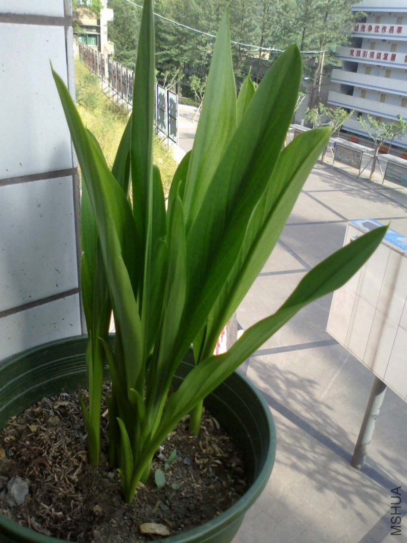 20110516082.jpg
