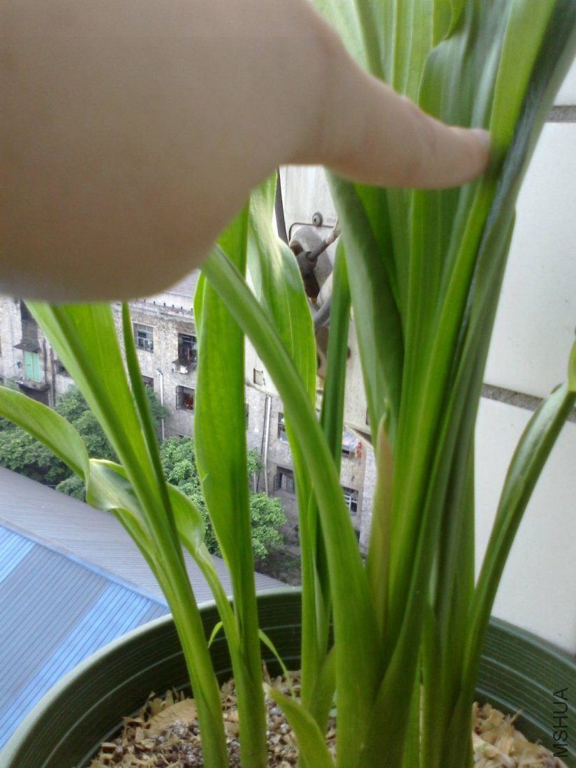 20110516087.jpg