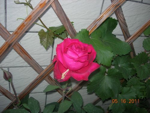 DSCN3773.jpg