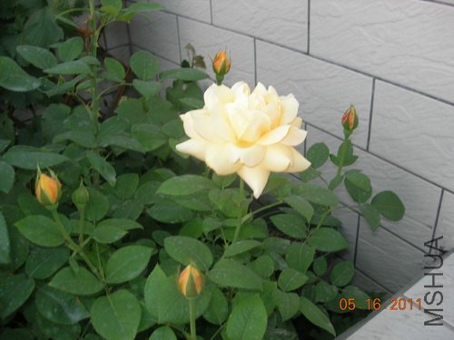 DSCN3770.jpg