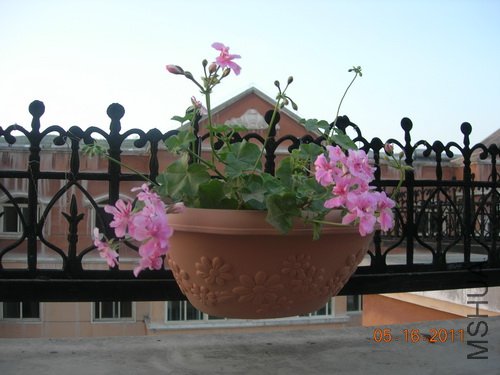 DSCN3775.jpg