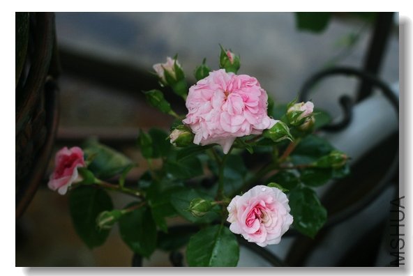 201105 022.jpg