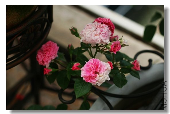 201105 080.jpg