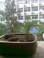 �ҵ�����