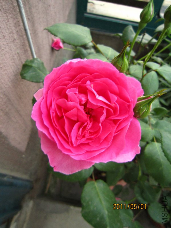 �¼�1 (3).jpg