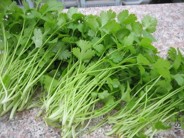 IMG_4983 (640x480).jpg