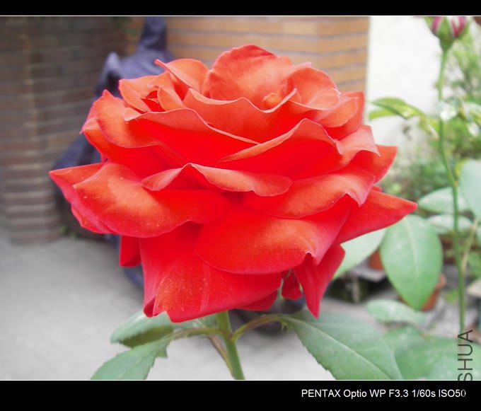 IMGP4814.JPG