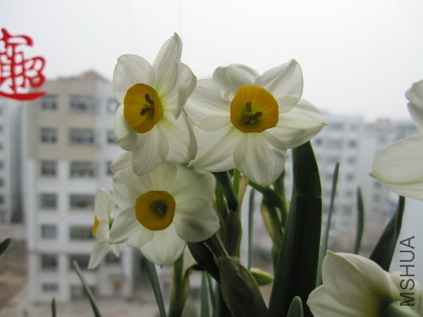 IMG_0376_������С.JPG
