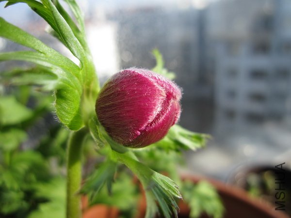 IMG_0614_������С.JPG