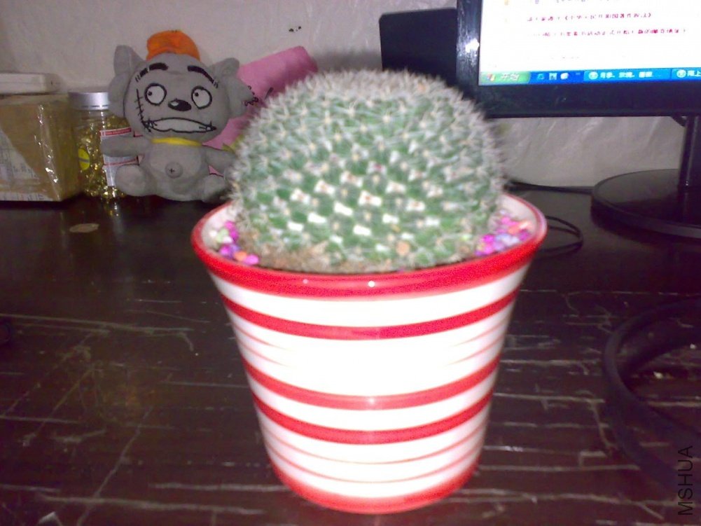 201105172411.jpg