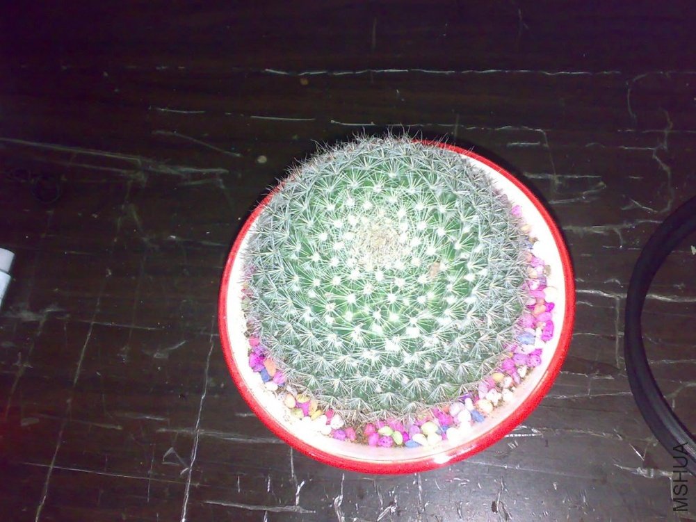 201105172413.jpg