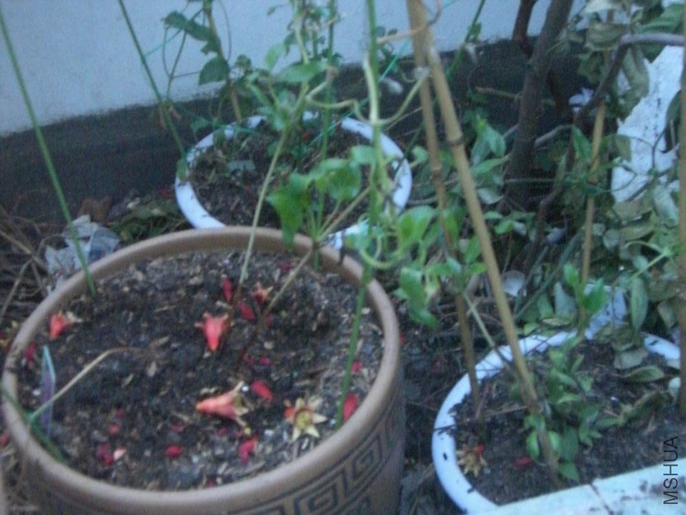 4����һ��