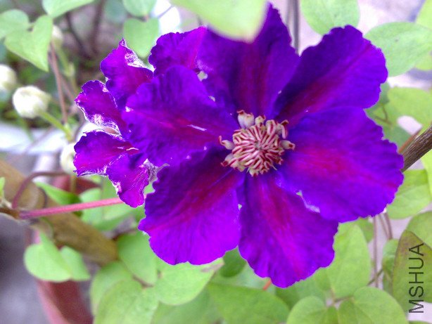 20110519779.jpg