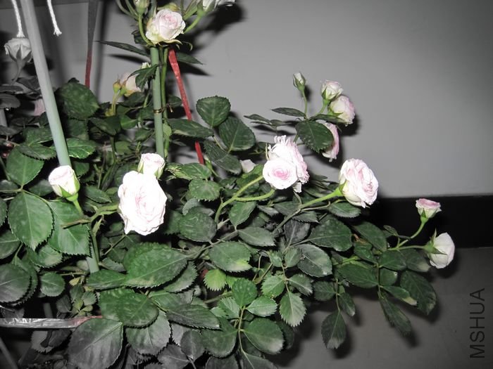 ��Ƭ 095.jpg