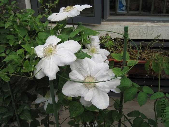 ��Ƭ 092.jpg