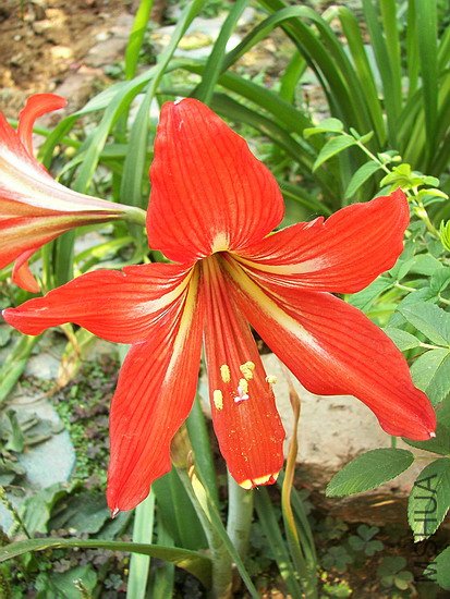 101_8519.jpg