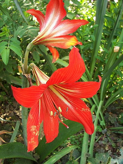 101_8518.jpg