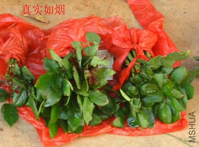 ��Ƭ 045.jpg
