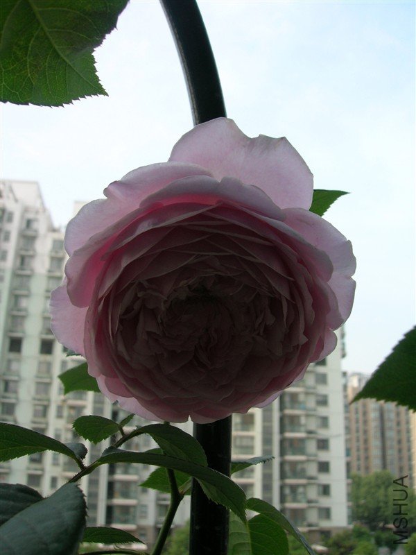 DSCN2137.JPG
