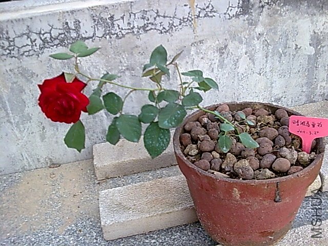 ͼ��064.jpg