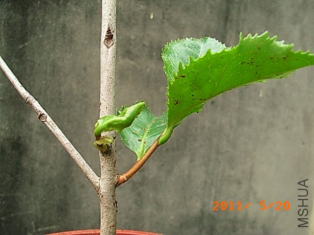 R0016718.JPG
