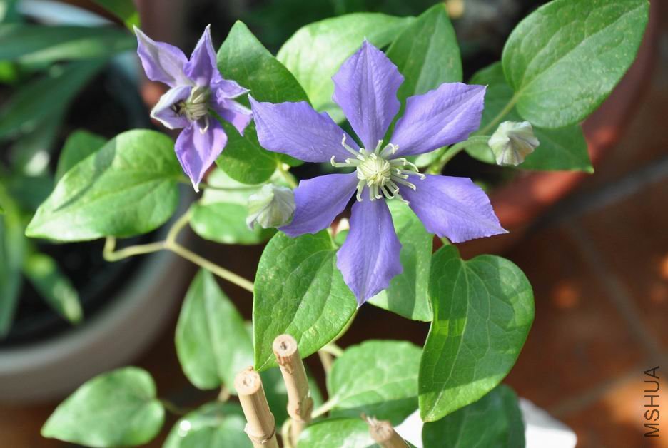 ������С ��Ƭ 421.jpg