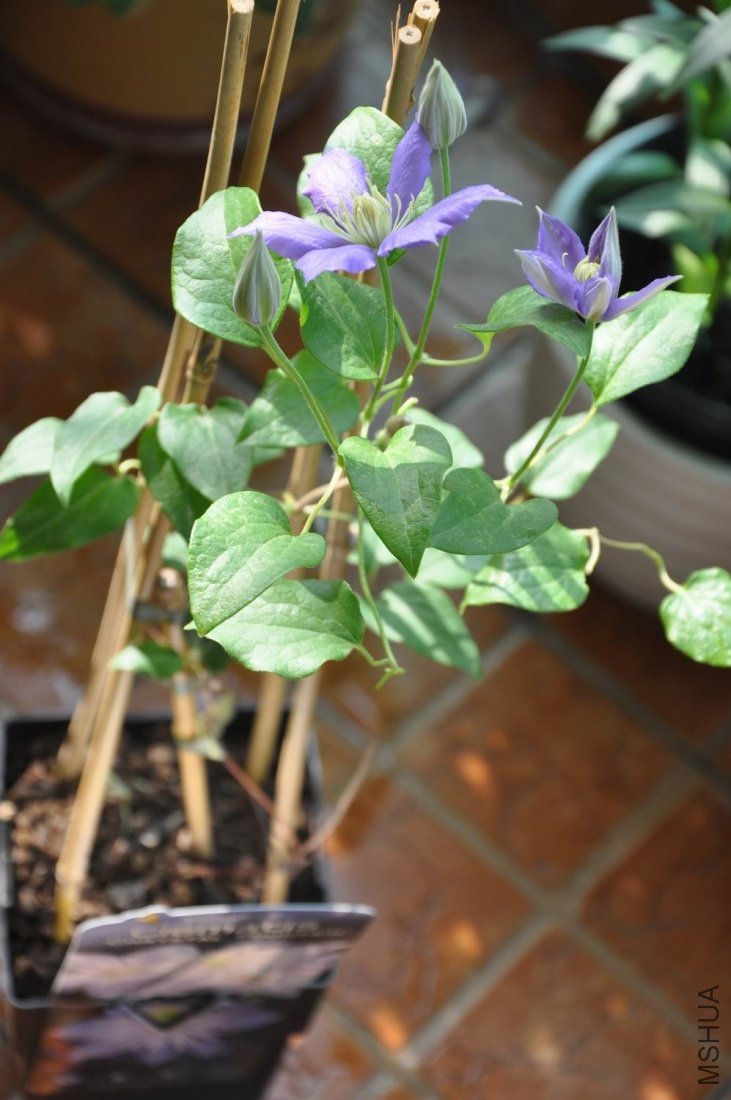 ������С ��Ƭ 422.jpg