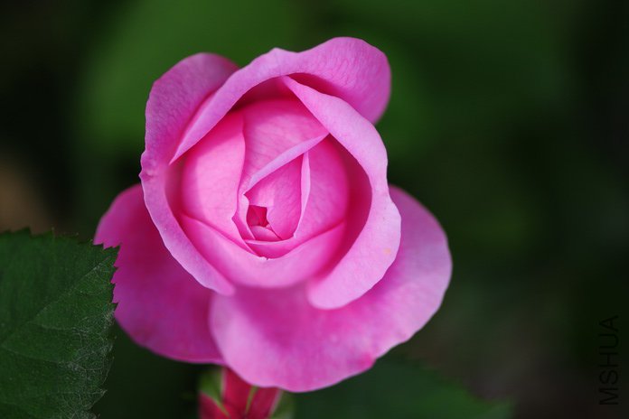 DSC_8276.JPG