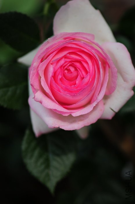 DSC_8281.JPG