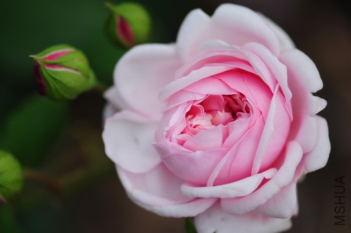 DSC_8307.JPG