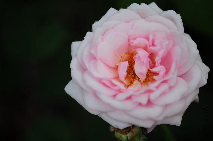 DSC_8308.JPG