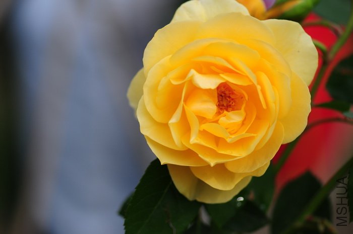 DSC_8312.JPG