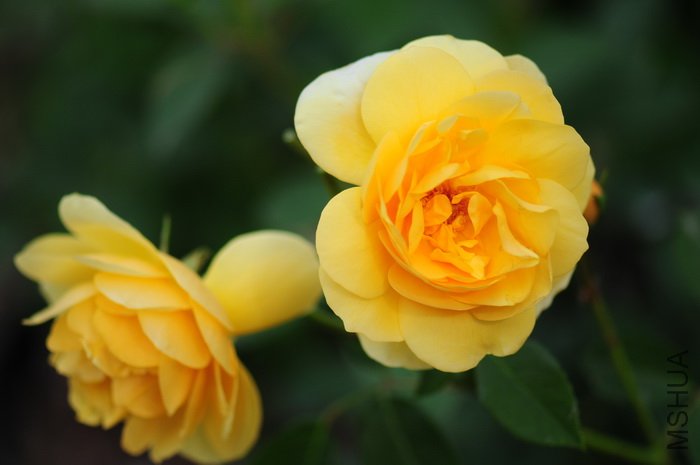 DSC_8317.JPG