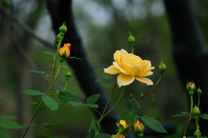 DSC_8321.JPG