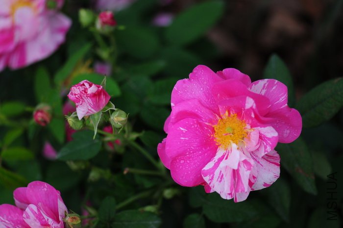 DSC_8402.JPG