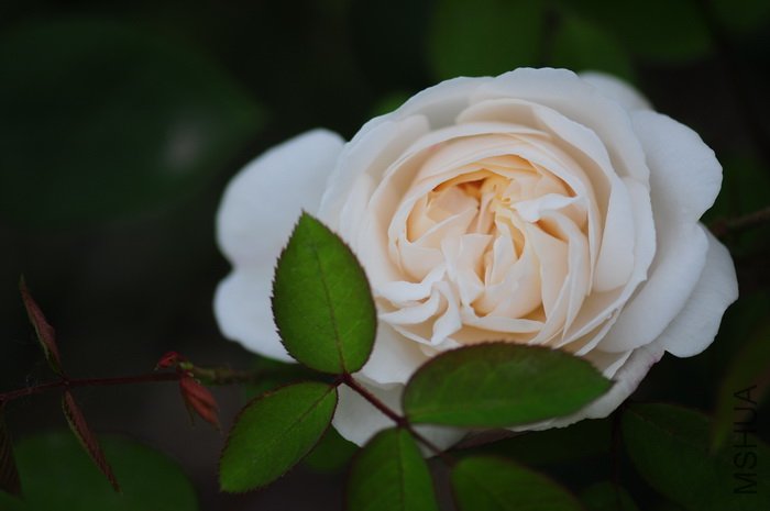 DSC_8404.JPG