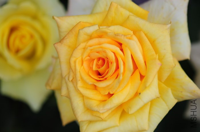 DSC_8412.JPG