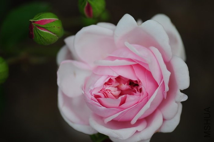 DSC_8409.JPG