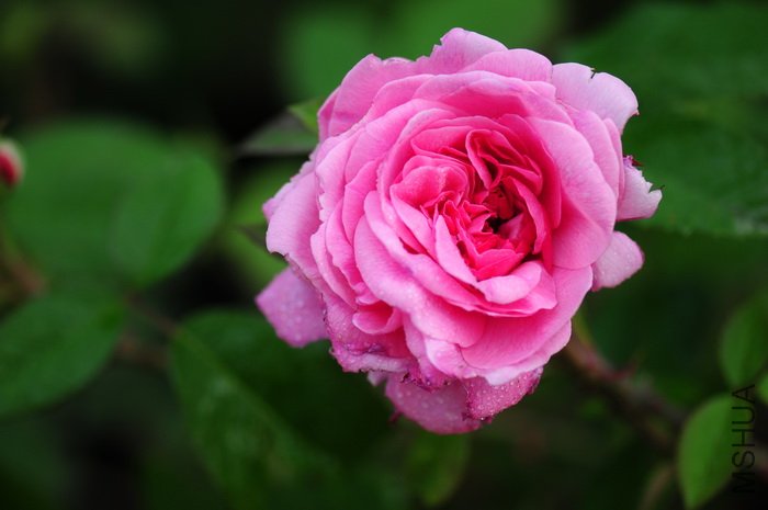 DSC_8334.JPG
