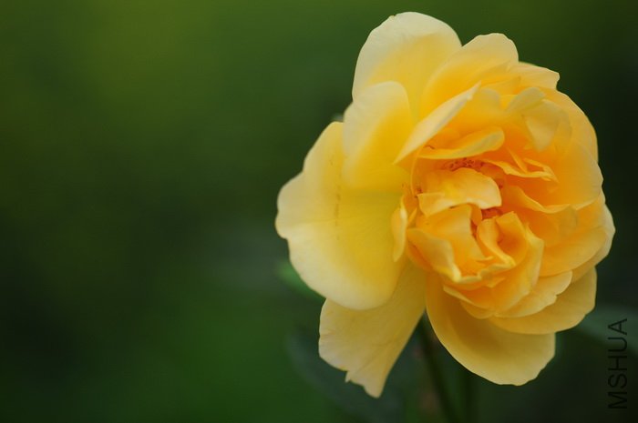 DSC_8438.JPG