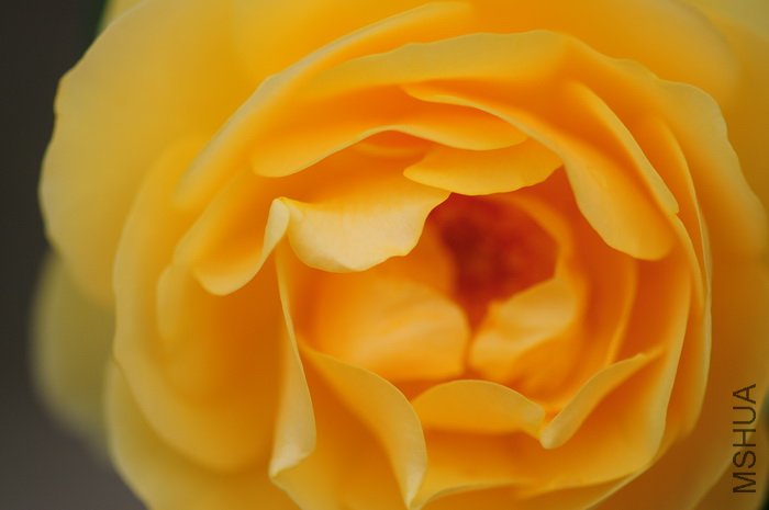 DSC_8436.JPG