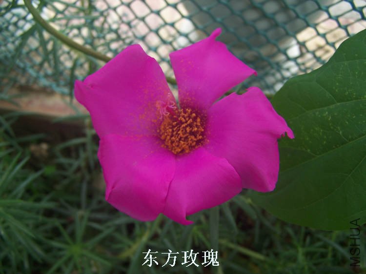 100_4681.jpg