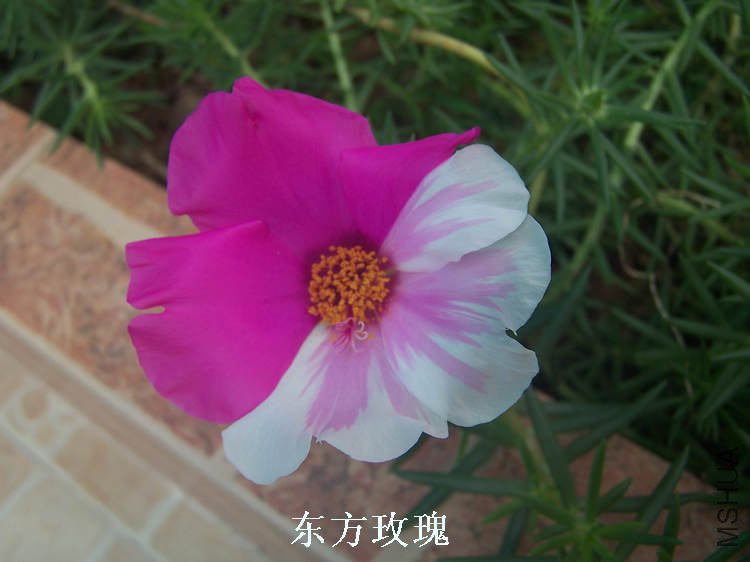 100_4677.jpg